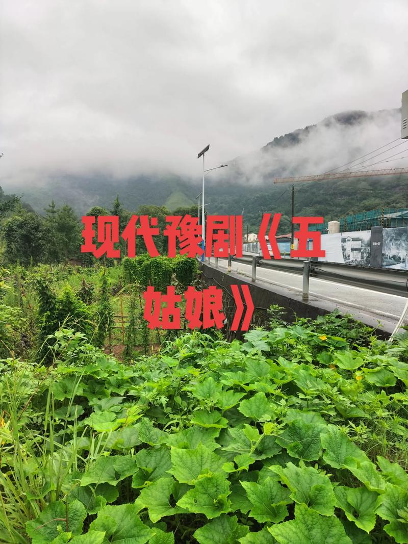 五姑娘是谁
