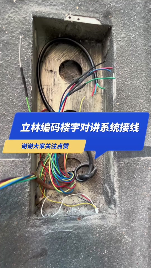 立林可视
