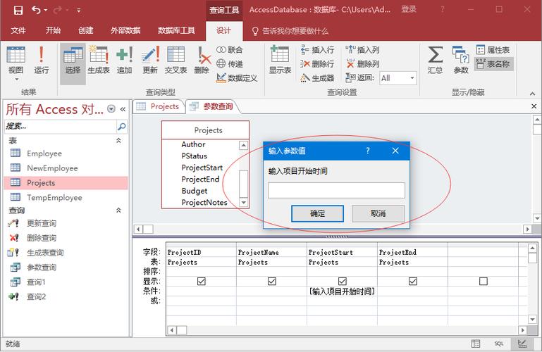 access网络版