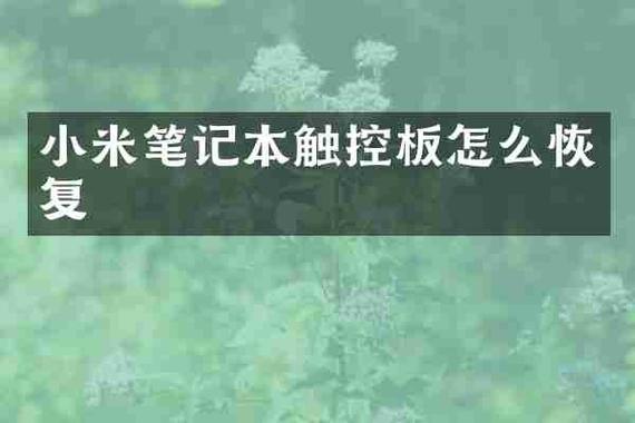 小米电脑触摸板解锁