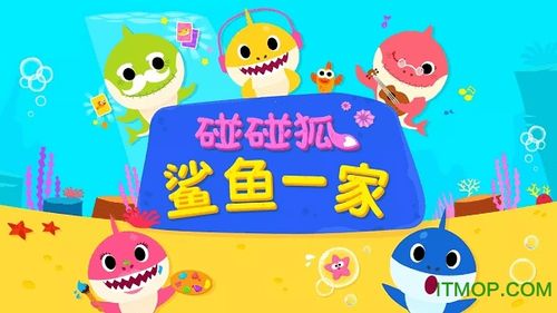 放胡碰碰狐鲨鱼一家 视频