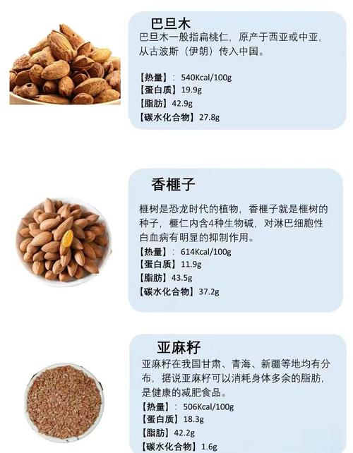 100品豆斋果加多少寿命