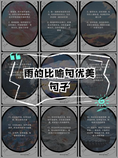 妙雨的意思是什么