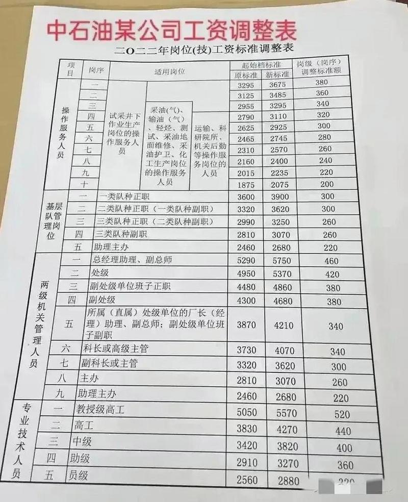 中石油岗位薪酬表一览表缩略图