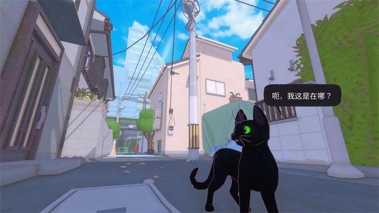 我养了一只猫游戏