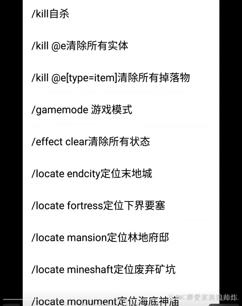 mc定位矿物指令