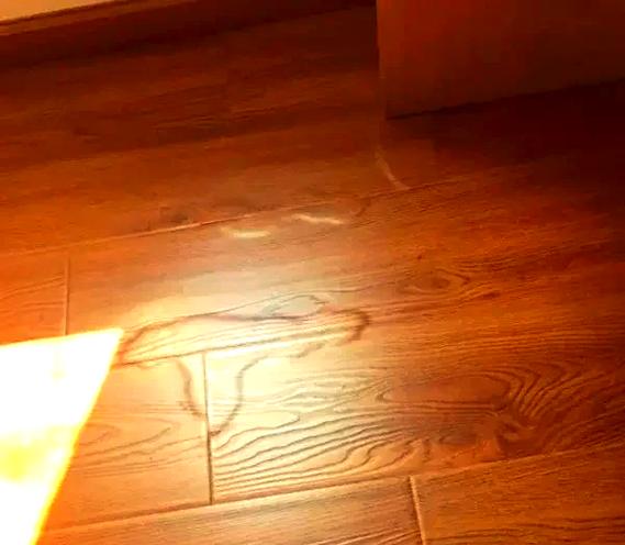 木地板翘起来了怎么修复游戏截图
