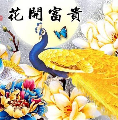 花开富贵适合什么人