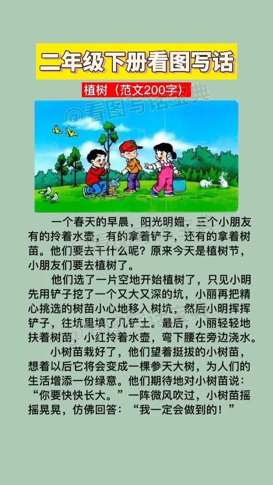 爸爸带我种树写话