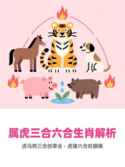 虎的三合肖图标