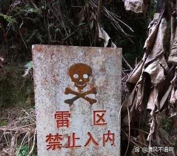 老山前线的地雷都是谁埋的
