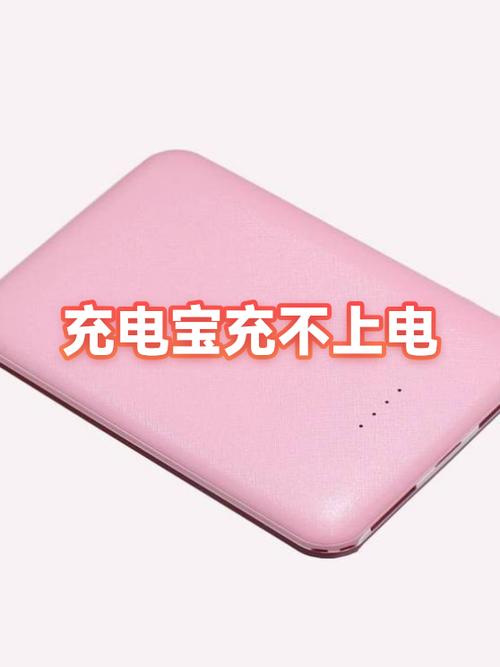 充电宝灯不亮充不上电