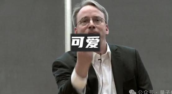 大佬是夸人还是损人