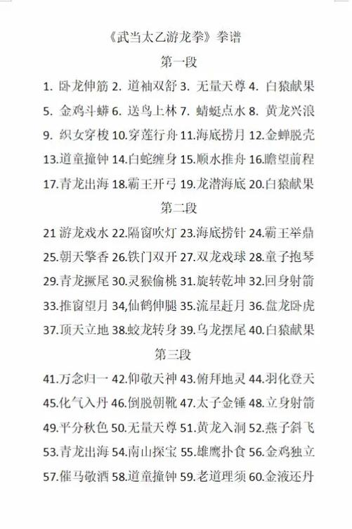 游龙拳60式口诀拳谱截图