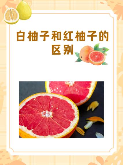 白柚子和红柚子的营养价值一样吗
