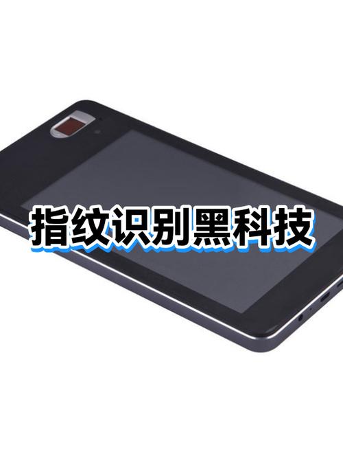 三种常见指纹图片
