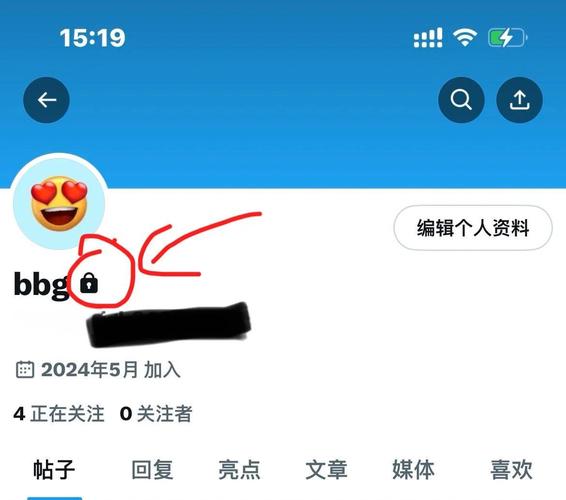 推特怎么设置看隐私内容苹果手机