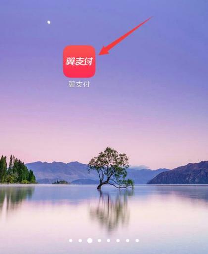 翼支付的商家收款码在哪申请啊