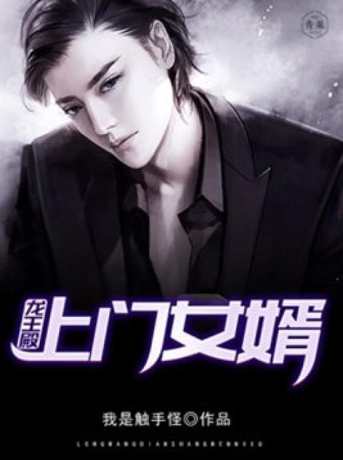 上门女婿龙王殿免费