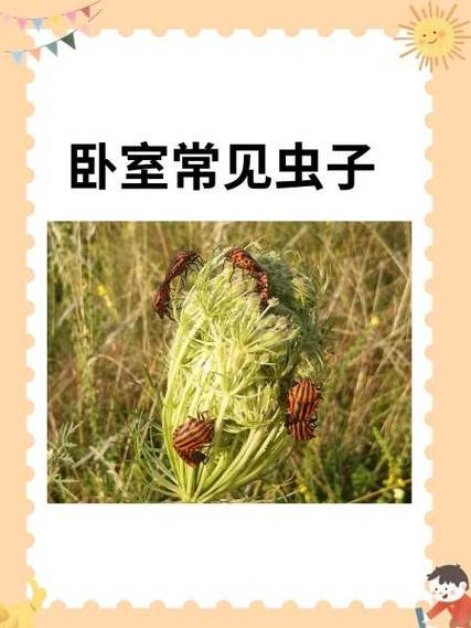 密室逃脱20蜈蚣怎么赶