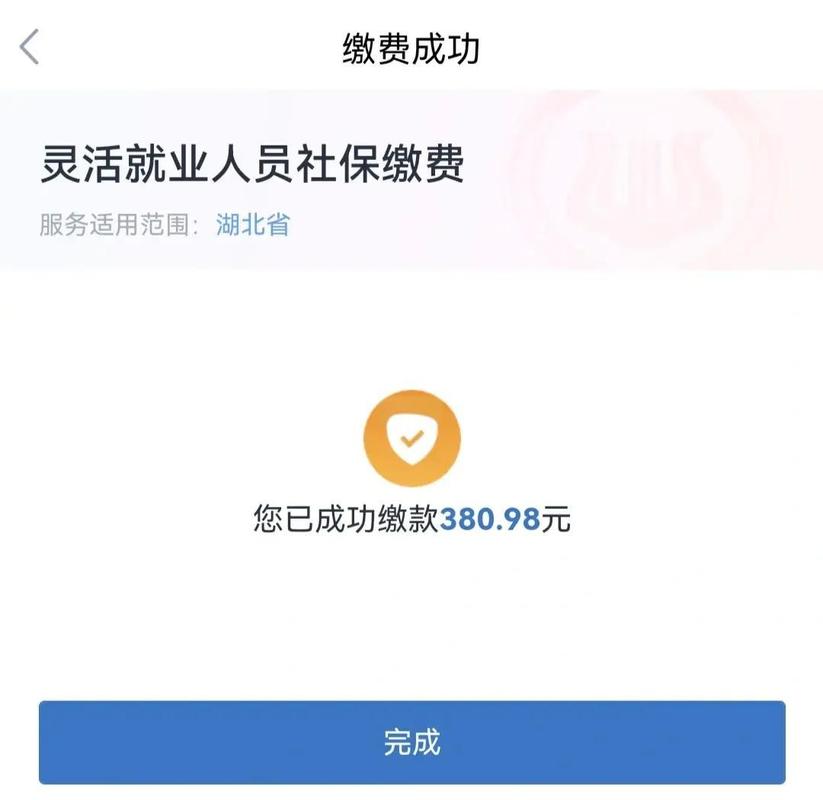 交管12123缴费非税项目怎填