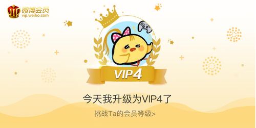 菜鸡会员