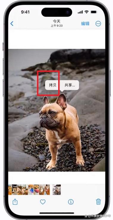 如何在苹果相册中抠图
