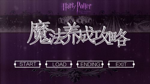 hp魔法养成攻略