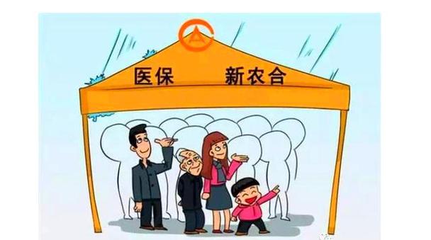2026年新农合收费标准是多少钱截图