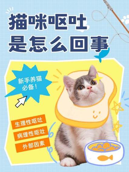 猫咪为什么会呕吐