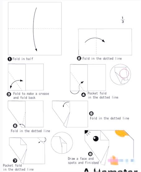 仓鼠的折叠方法图标