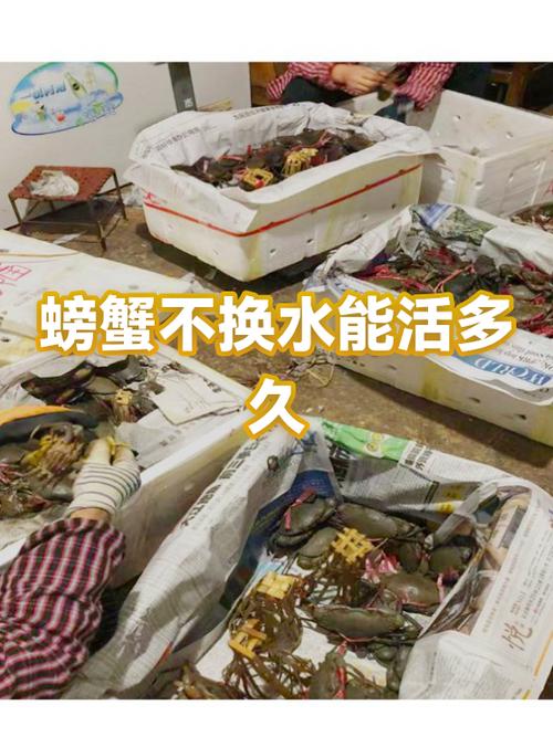 螃蟹没有水会死吗
