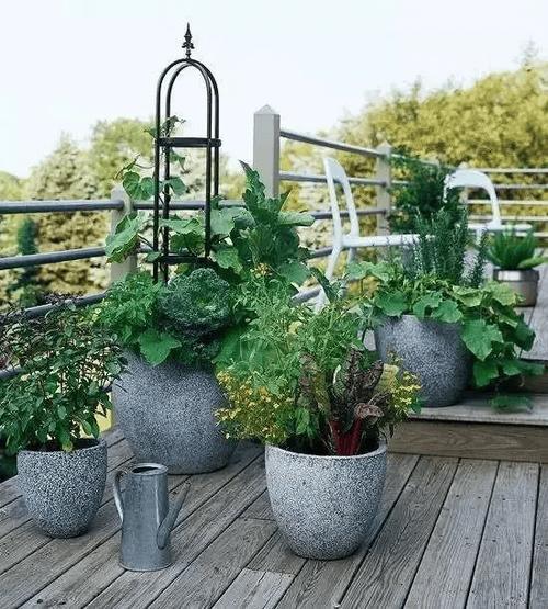 花园里怎么种花种