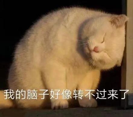 大脑一转天下无敌表情包