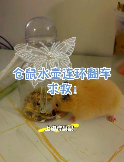 仓鼠淹死了浮起来了还能活吗