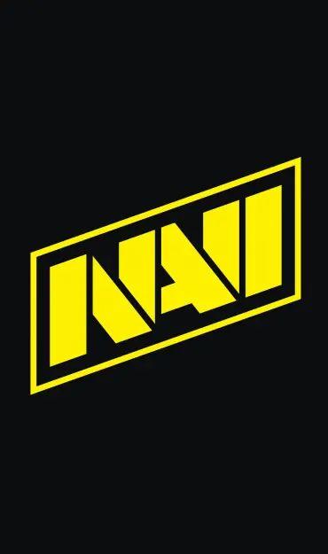 navi是什么意思