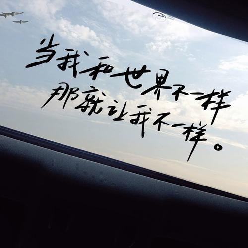 我和世界不一样