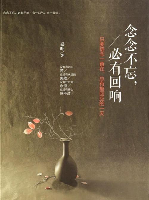 《念念不忘》全集观看