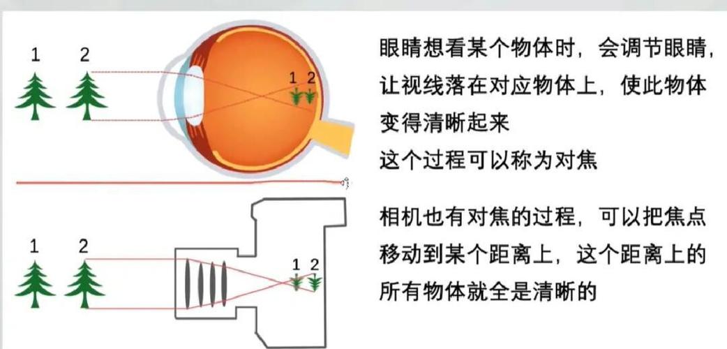 老花镜自动调焦是真的吗缩略图