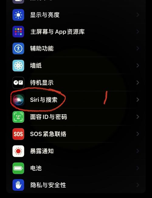 ipad嘿siri怎么喊不出来