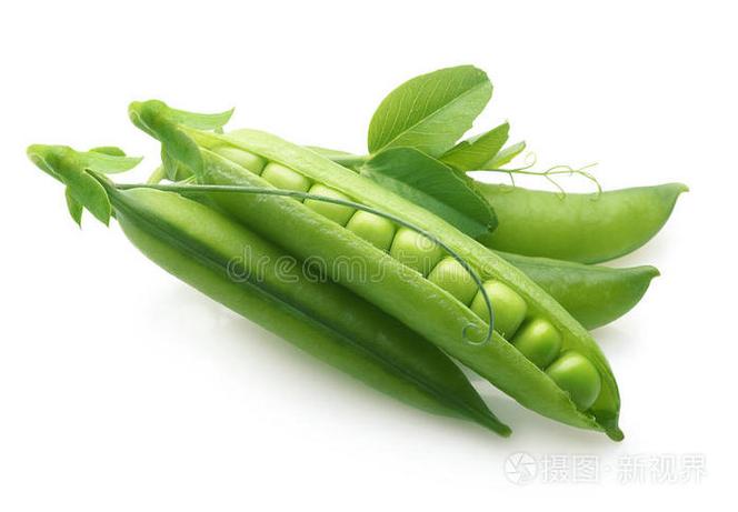 《借Z》豌豆荚