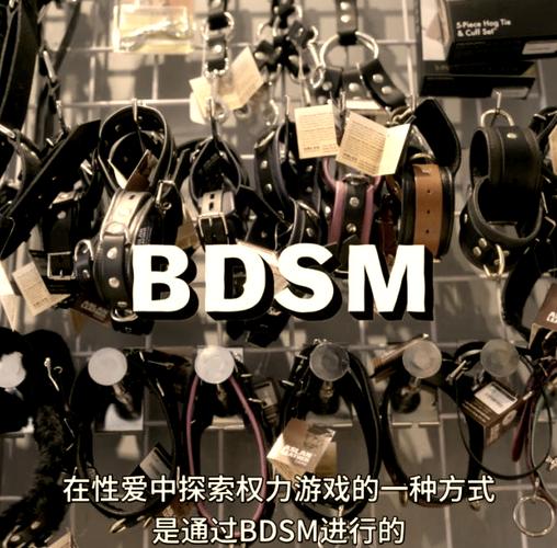 sado和sub的关系