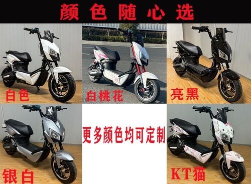 小猴子电摩怎么改速度更快图标