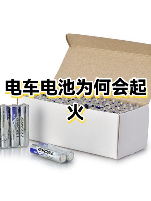 电车放久了电池会坏吗