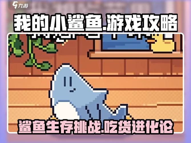 小鲨鱼追踪3.0最新版本更新内容分享