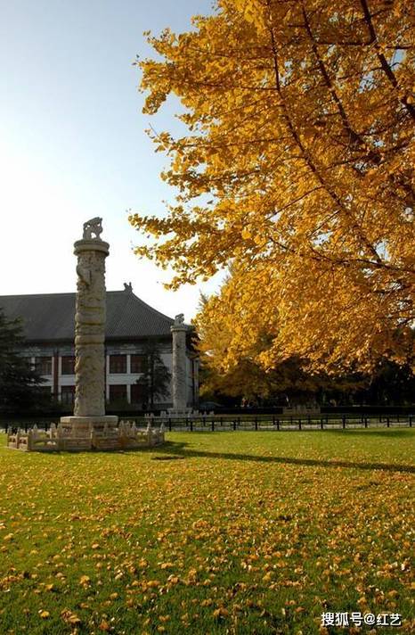 北京理工大学国际本科