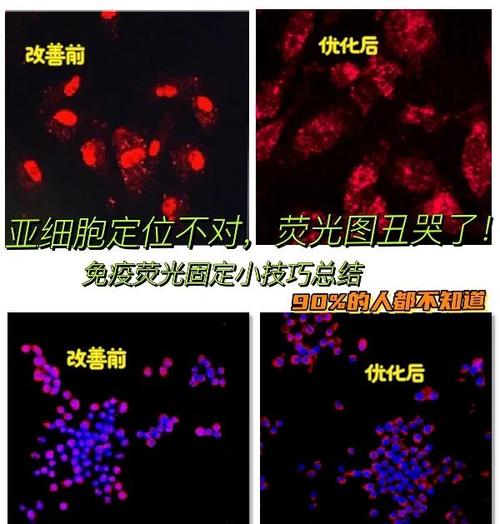 anti recall怎么看图片