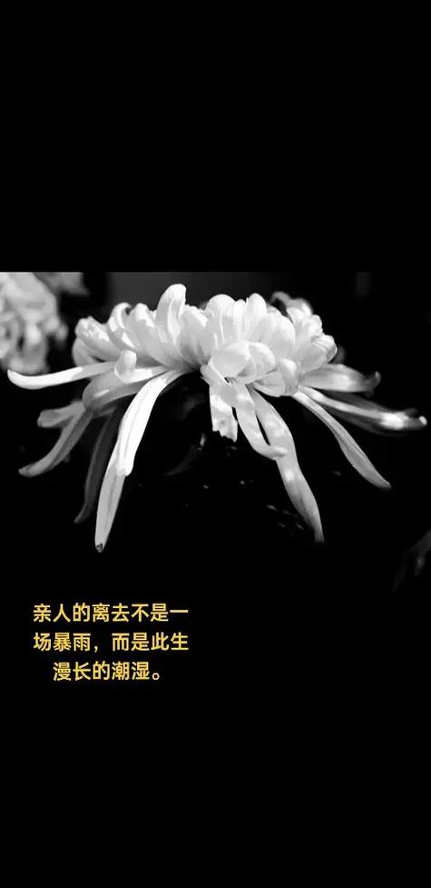 寄思逝去亲人