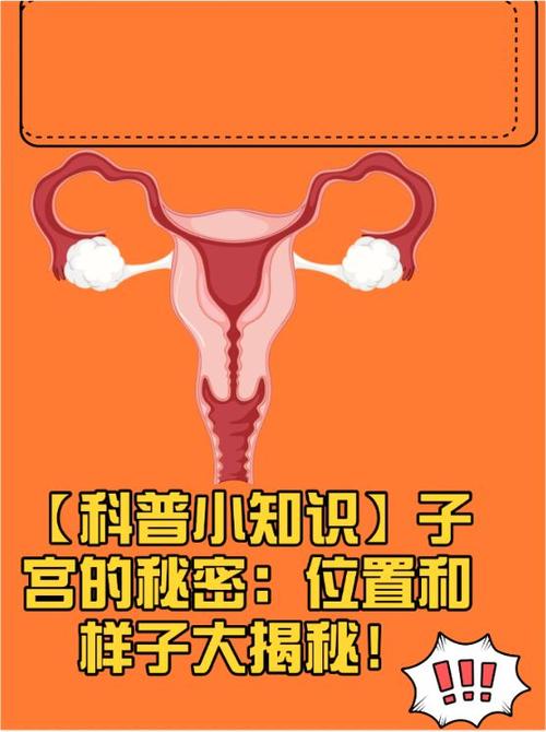 母亲子宫1-10章主要内容概括