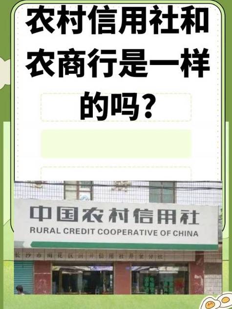 农村信用社支付密码怎么修改